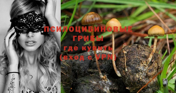 винт Тобольск