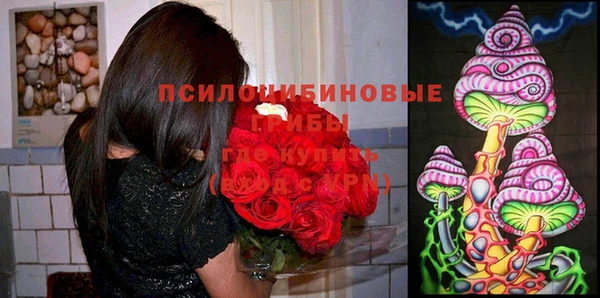 тгк Тихвин
